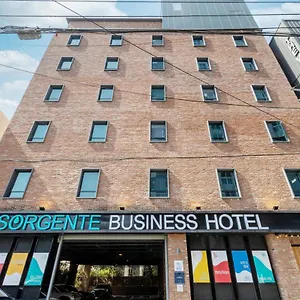 Sorgente Business Hotel