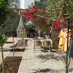 Solive , Himarë Albanien